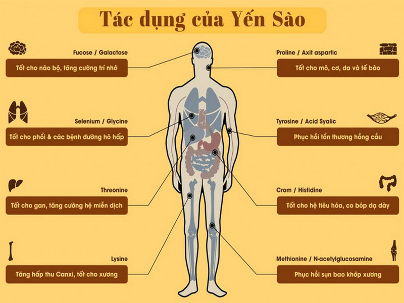 3. Những Yếu Tố Ảnh Hưởng Đến Quá Trình Phục Hồi