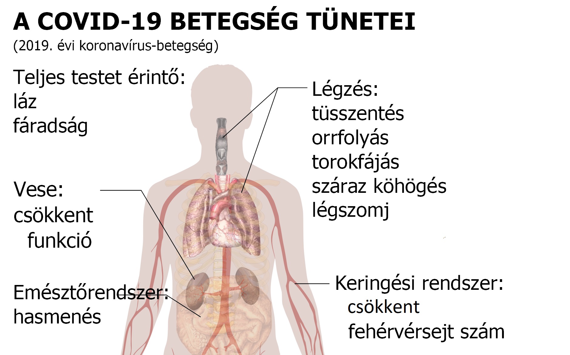 3. Triệu Chứng Cách Mạng Vé Số