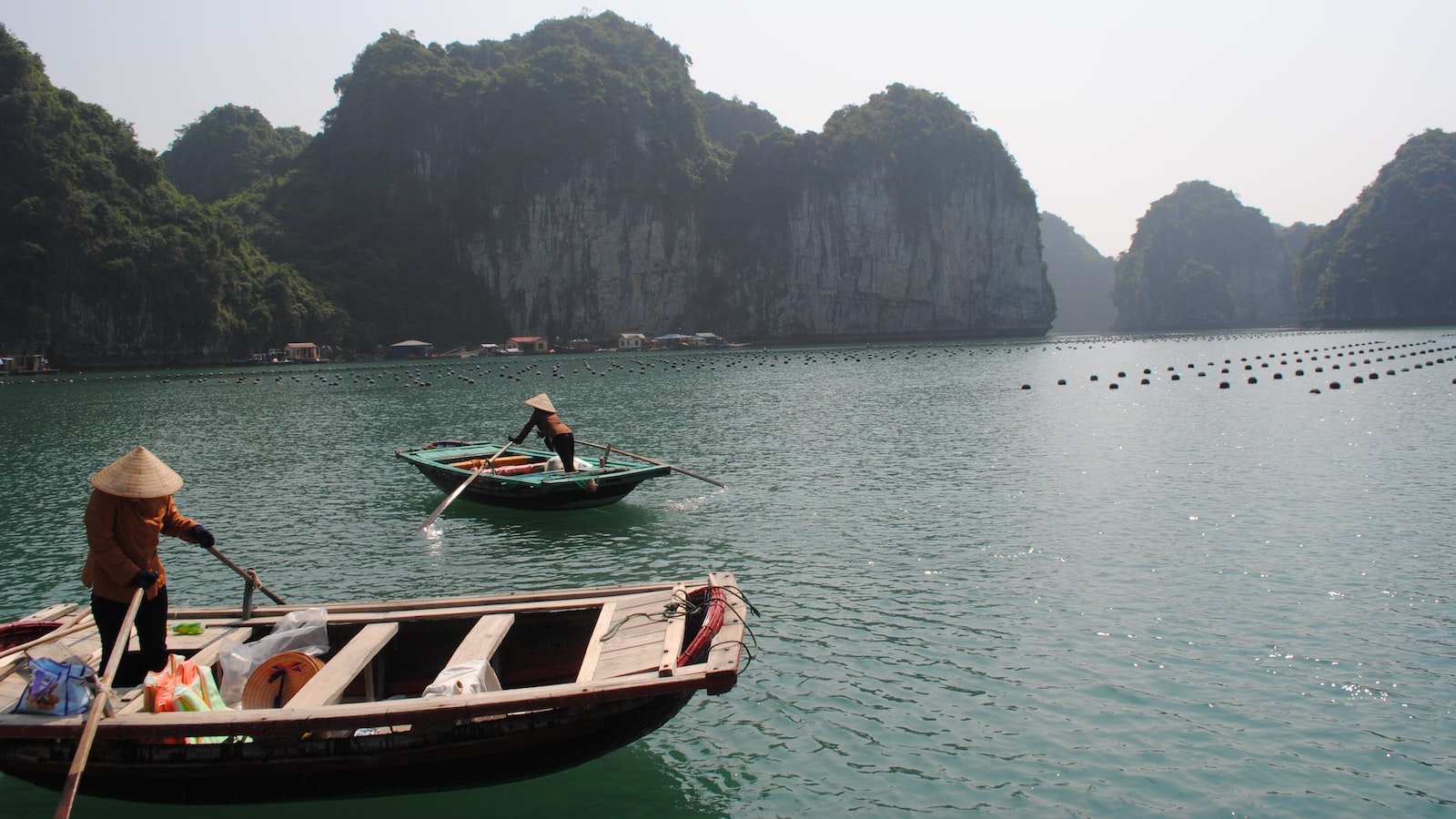 1. Khám phá thị trường Elden Ring