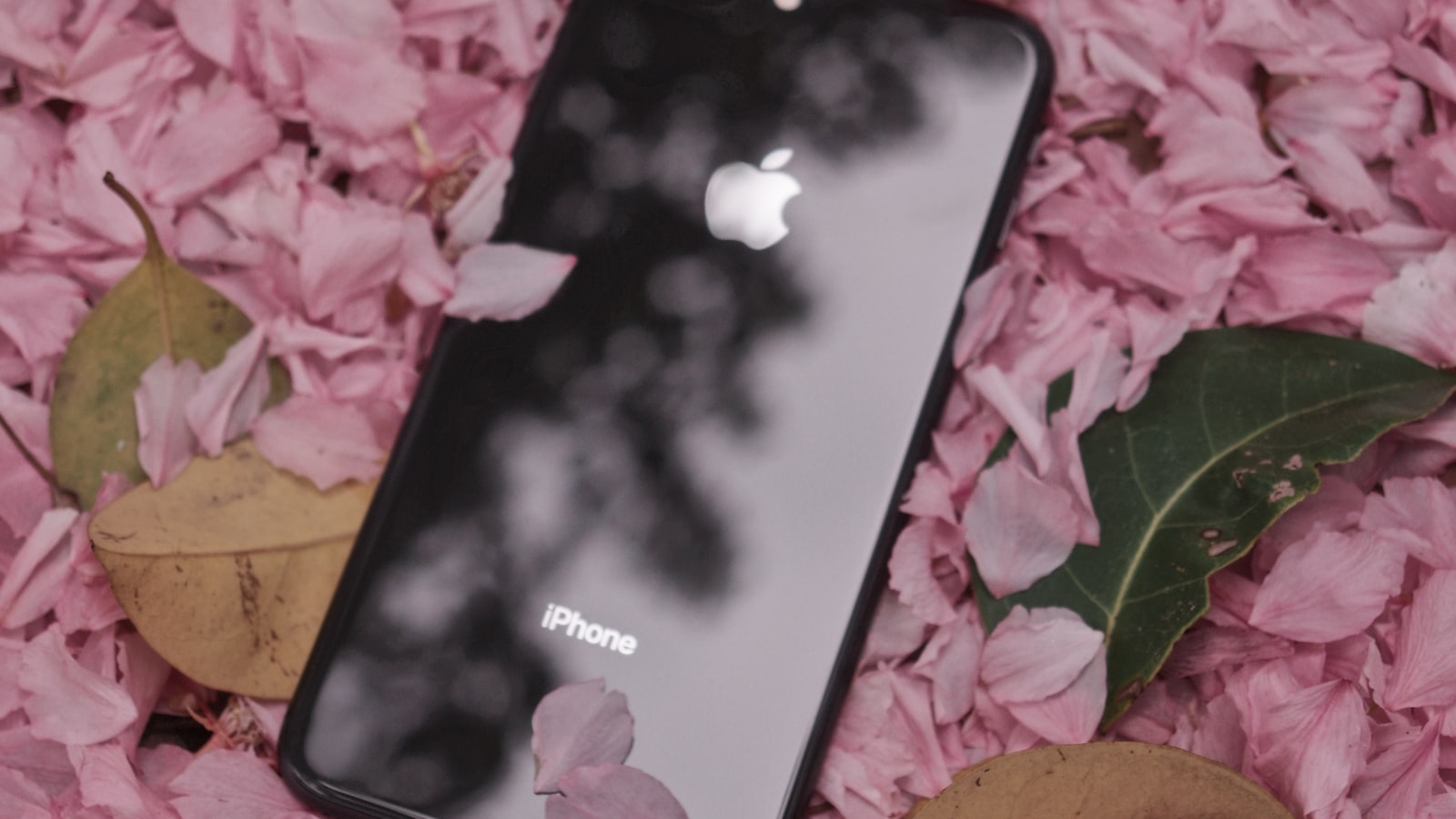 1. Khám Phá Những Thủ Thuật Tiện Lợi Với iPhone 8