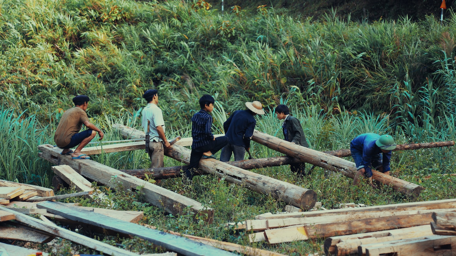 3. Việc thứthṡ loại & tẩy bông trắng