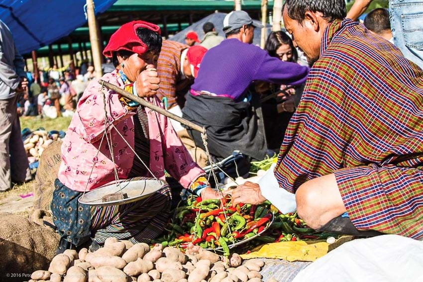 3. Sự Khác Nhau Giữa Tố Tụng Hình Sự Và Tố Tụng Bẩn